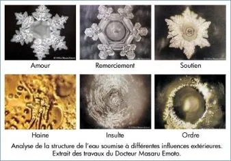 L’eau a une « mémoire »… et elle pourrait soigner !