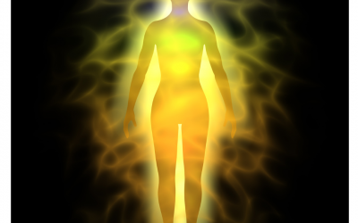 The human energy system