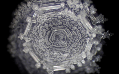 Analyse microbiologique eau minérale bloom code