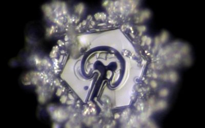 Étude détaillée de la structure énergétique du bloom code