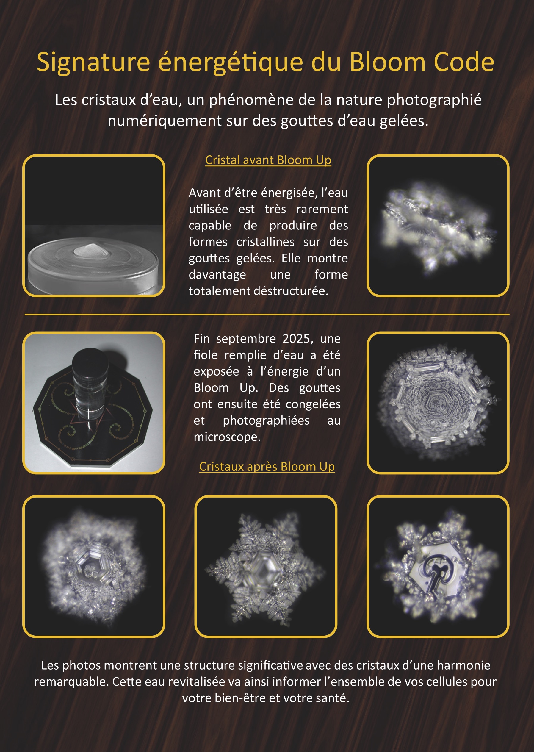 PRINT_bloom-flyer-fr