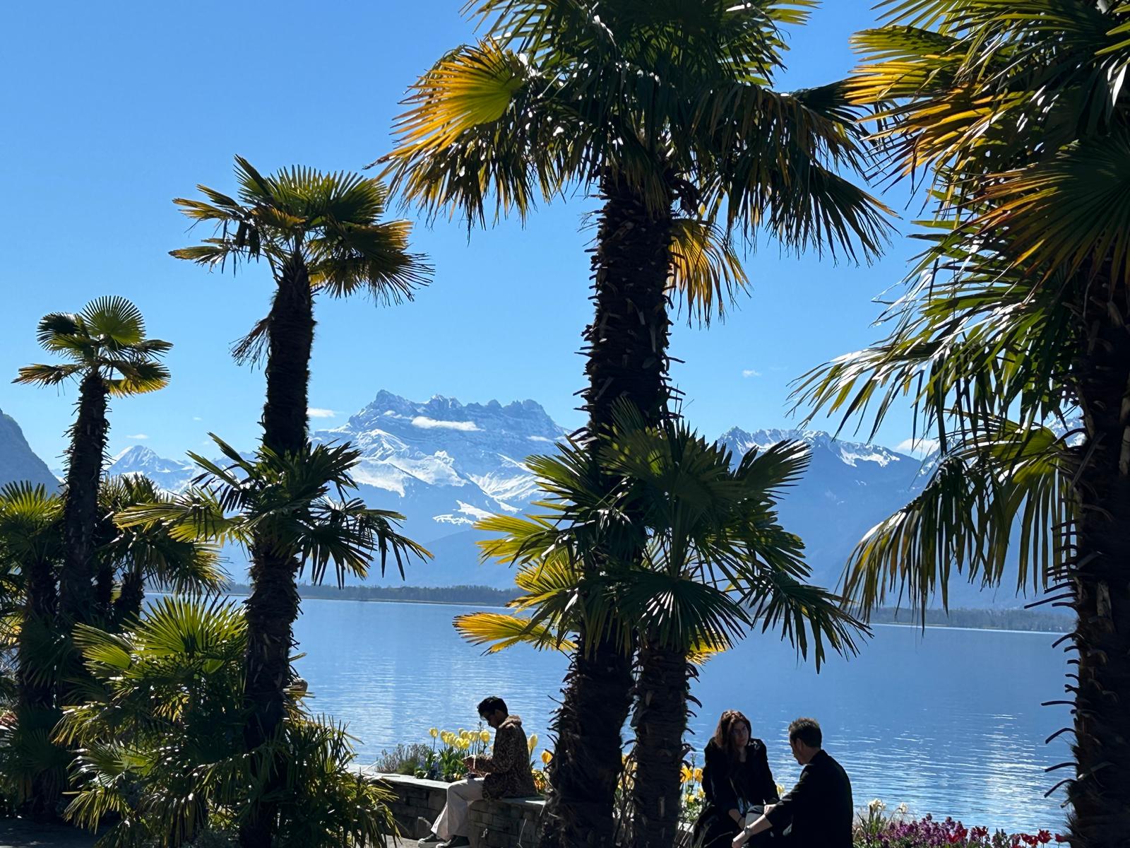 Bloom Harmony. Bloom Code. Suisse 